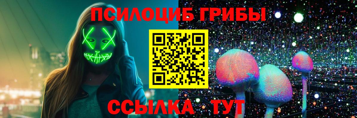 Шадринск  Галлюциногенные грибы прущие грибы  Вход с VPN 